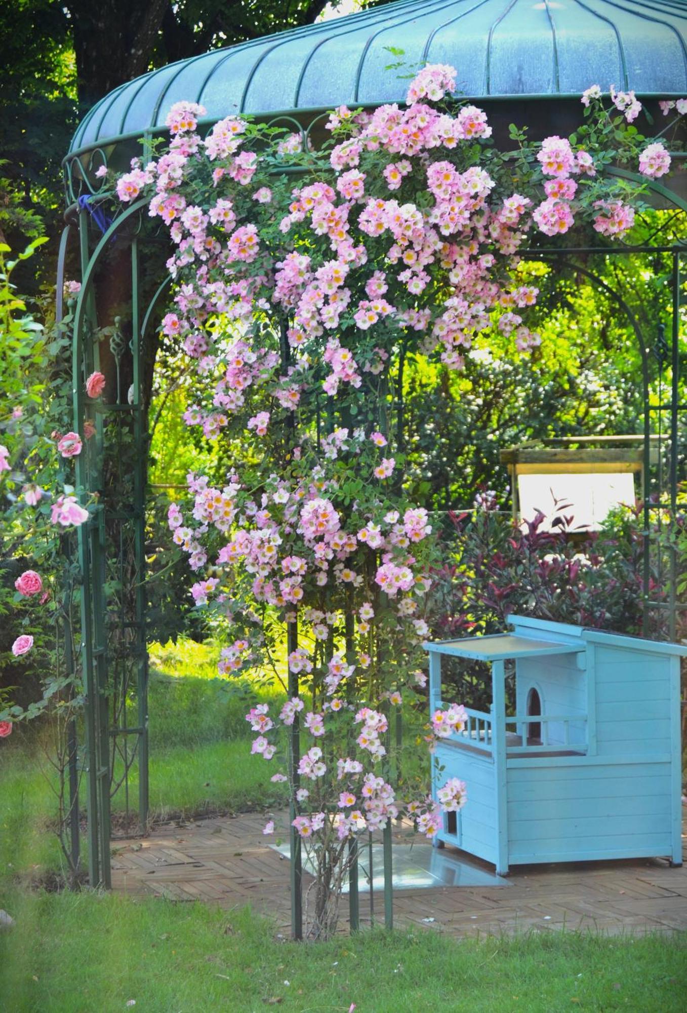 Bed and Breakfast Au Temps Suspendu Champagney Zewnętrze zdjęcie